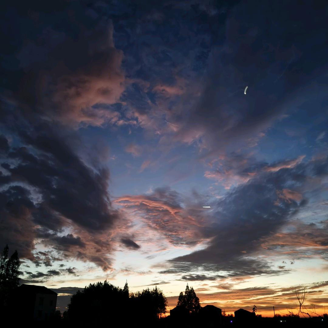 沉默寡言 慢羊羊