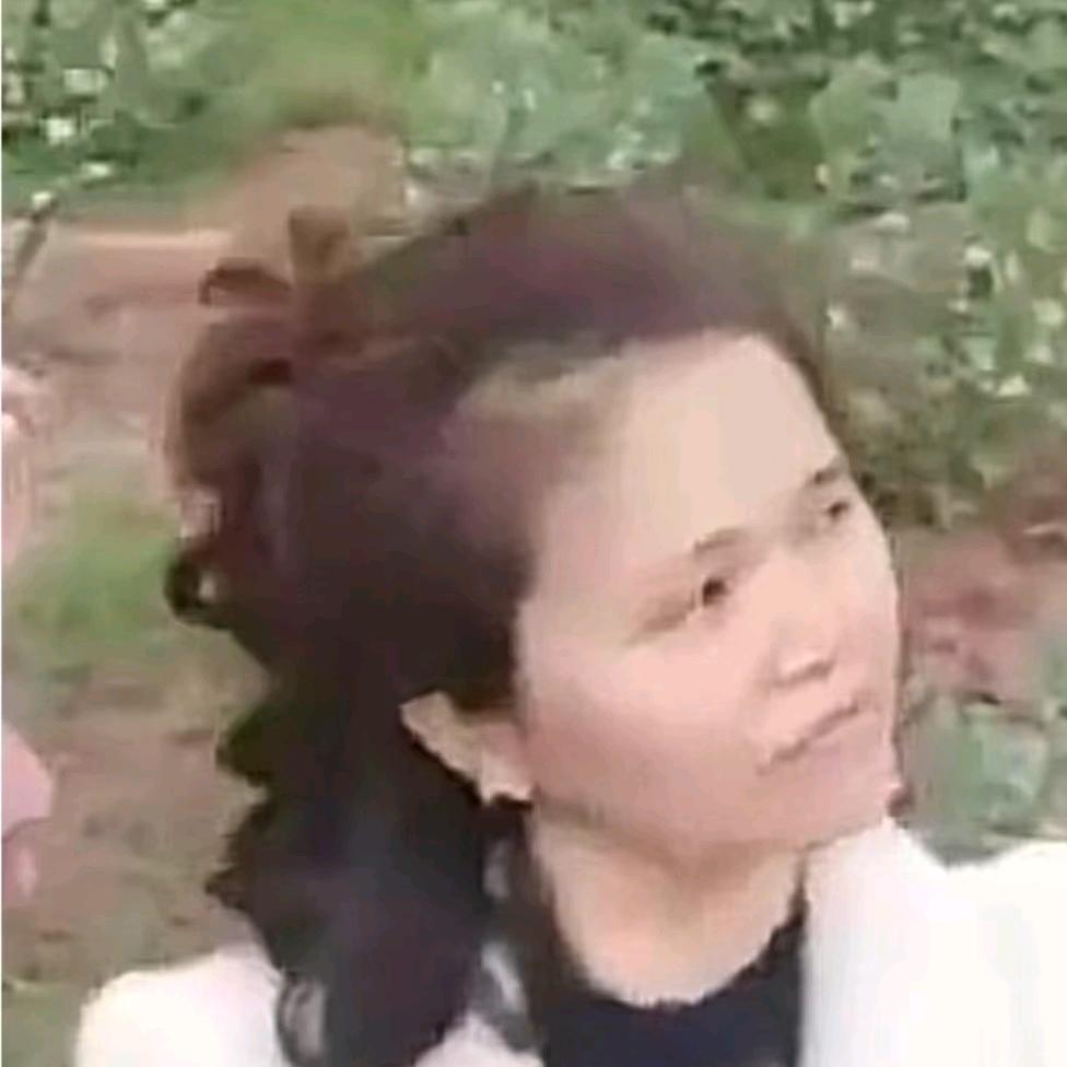 凤舞飞扬