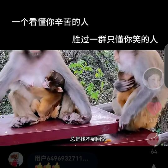 流金岁月
