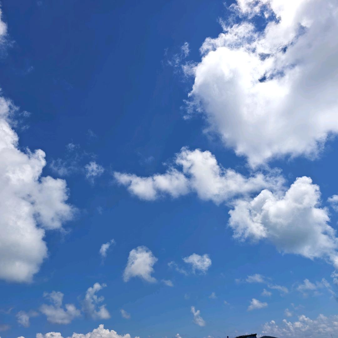 船长—流浪全国