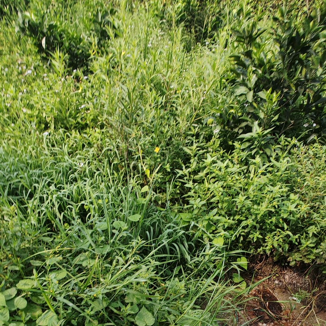 💞ꦿ᭄未来可期