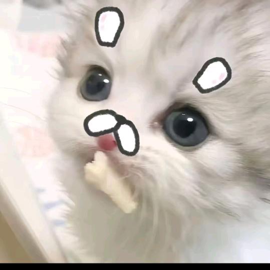 初小梦