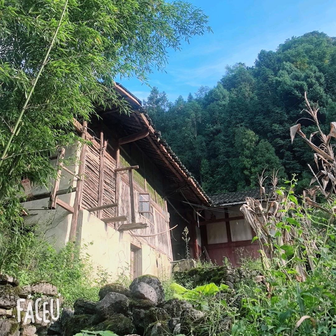 /==--，7…。；………，:美