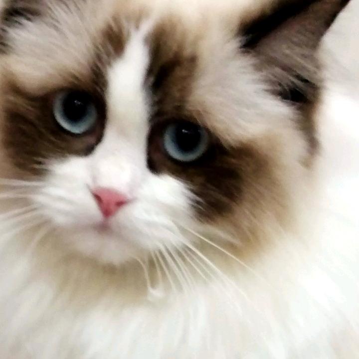 口罩姐✔