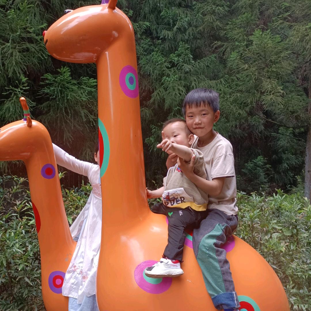 随🌾心🎋随☘️愿😎