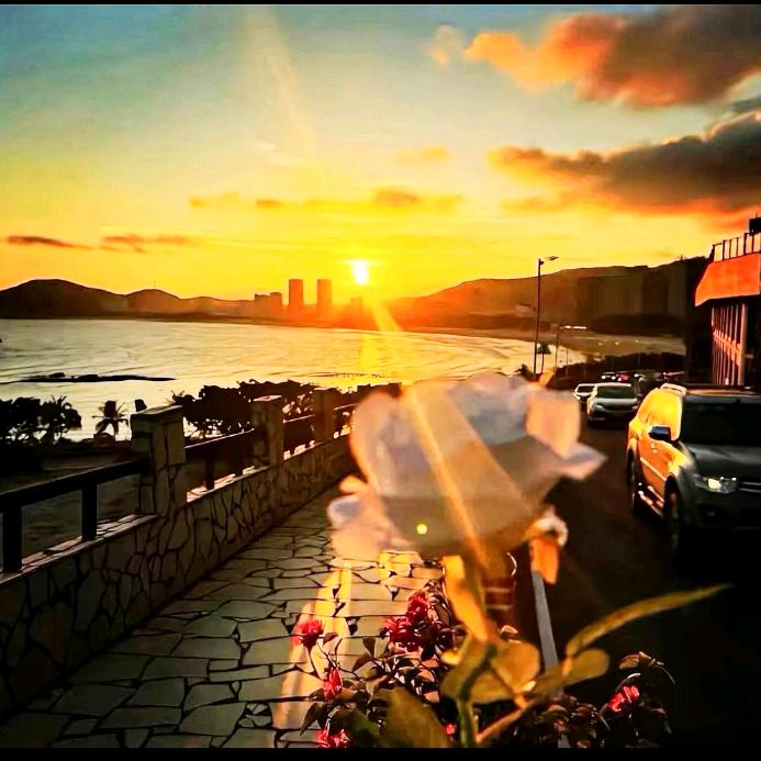 让伤心留在过去，迎接美好明天🦊