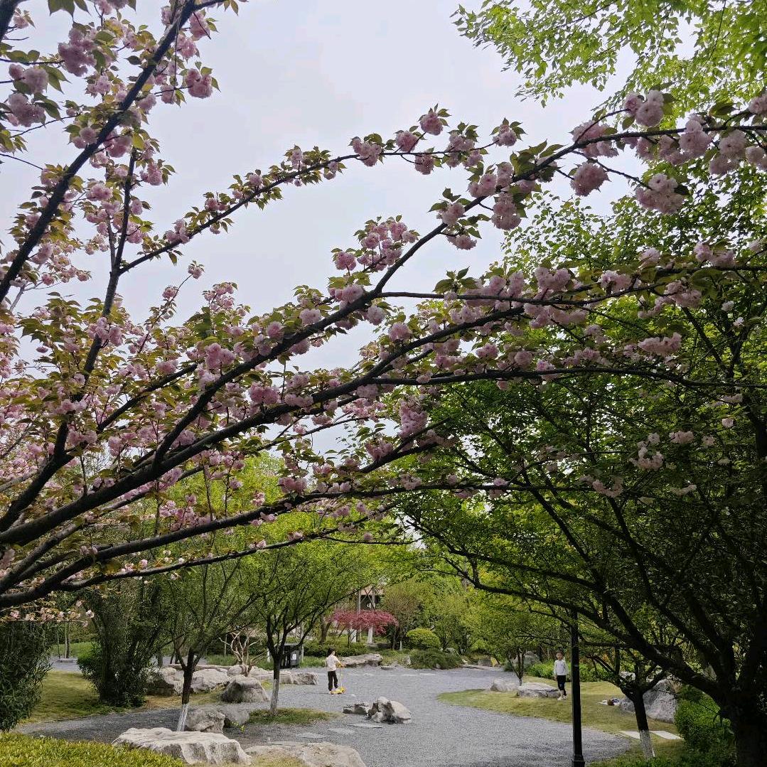条子哥