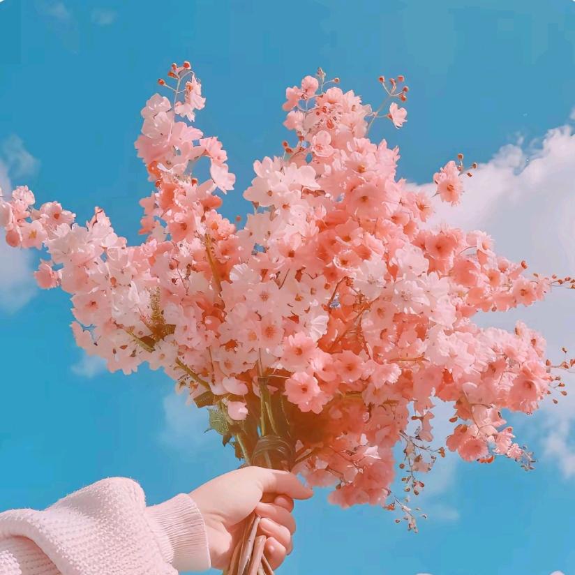 英子🌹🌹