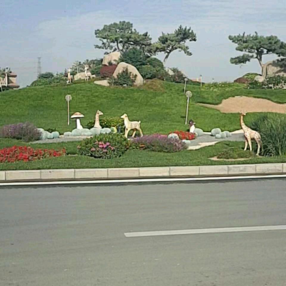 凌晨的太阳☘☘☘