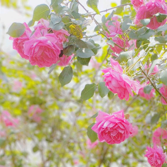 志晖汽车漆调色