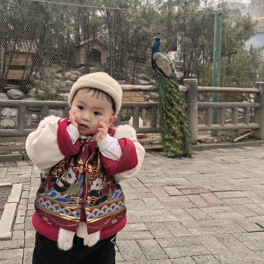 佑佑的童年生活