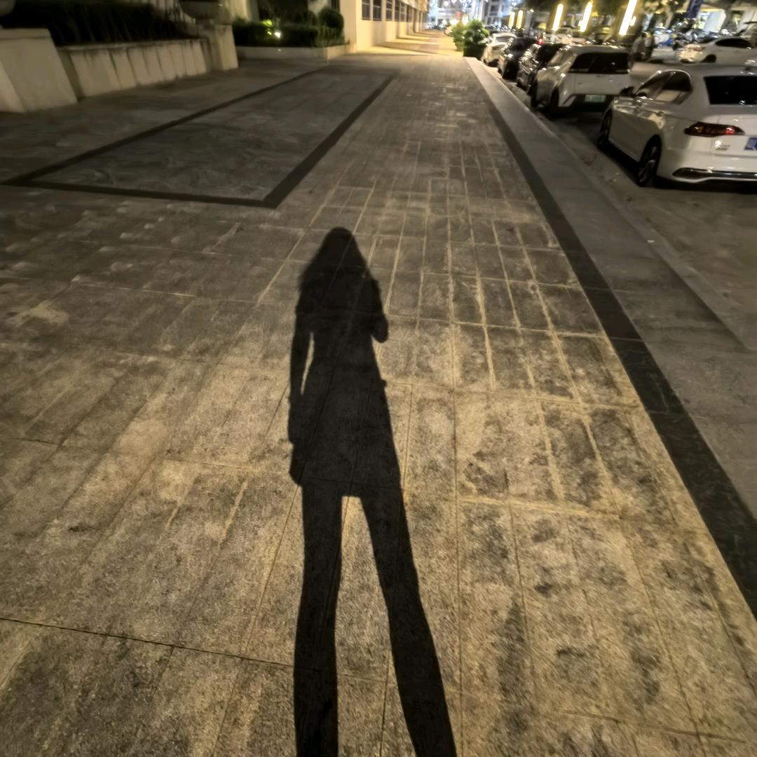 卡皮巴拉进化中...…