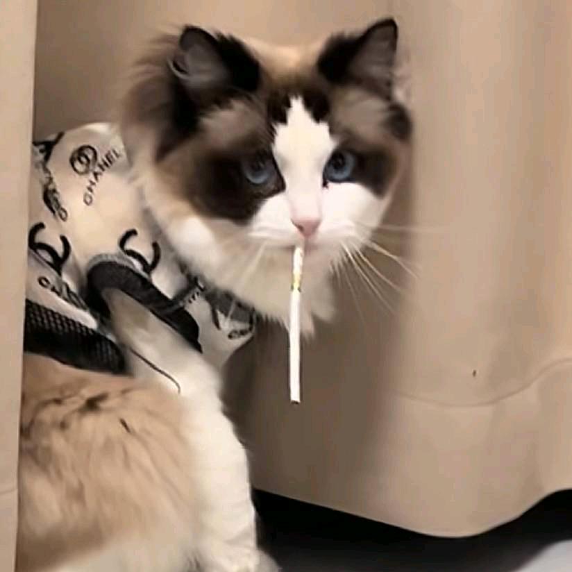 小小王