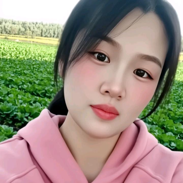 一个人的季节
