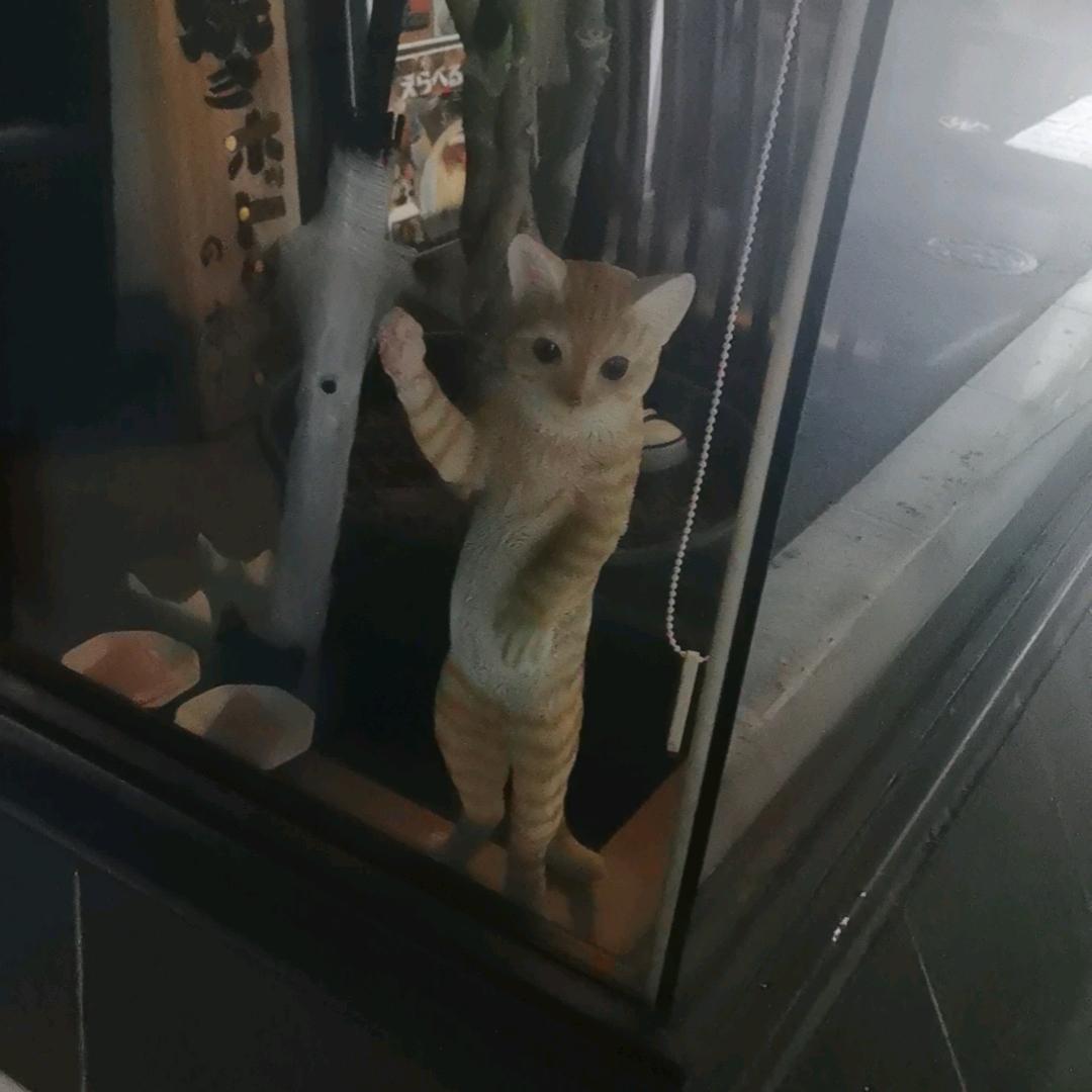 给我一首歌的时间