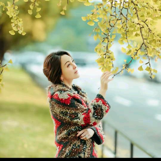 雪姨王琳(爆款推荐)