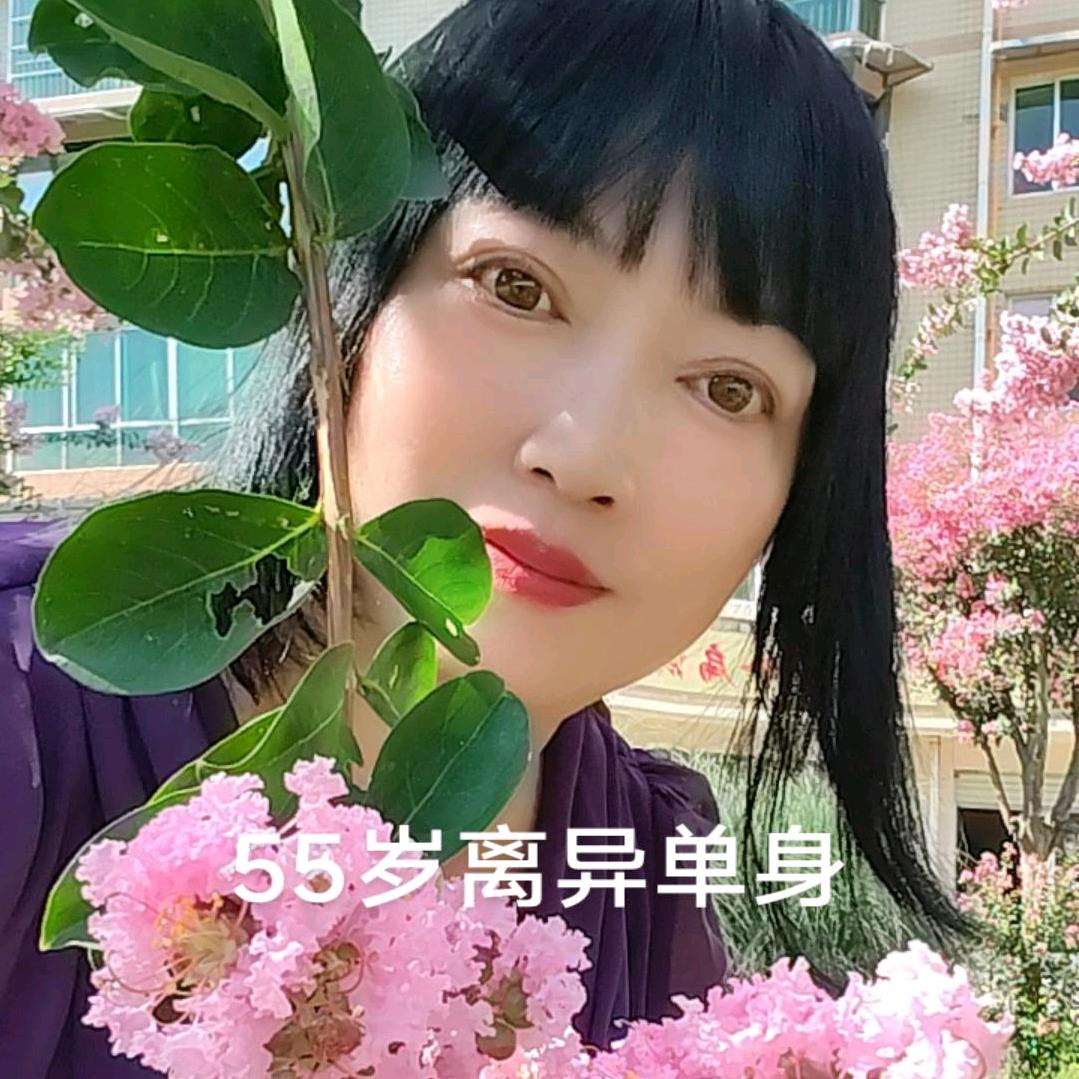 慧