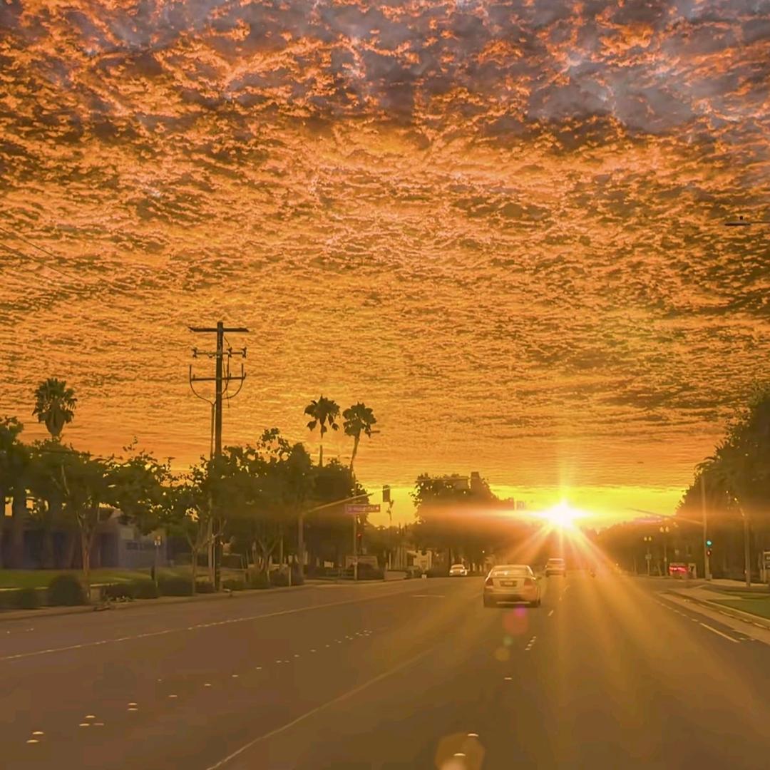 星期八蹄花烧烤官方号