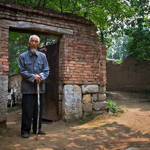 乐陵市郑店镇周翠肉牛养殖厂