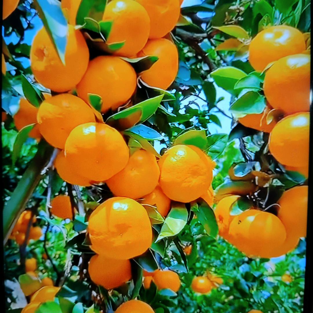 相信明天会更好