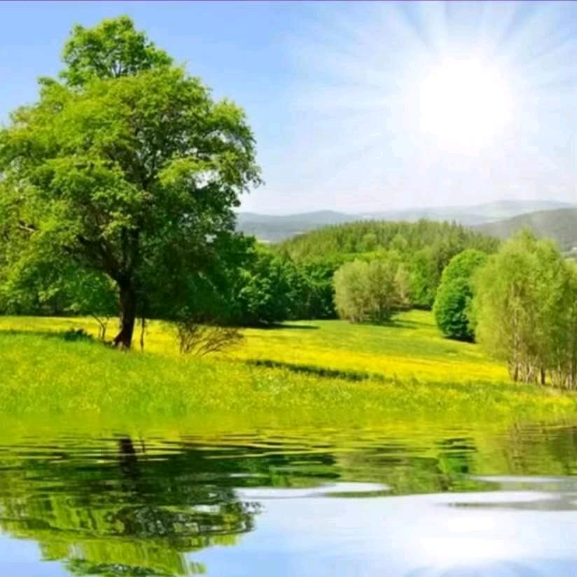 新疆沐歌国际旅行社有限公司