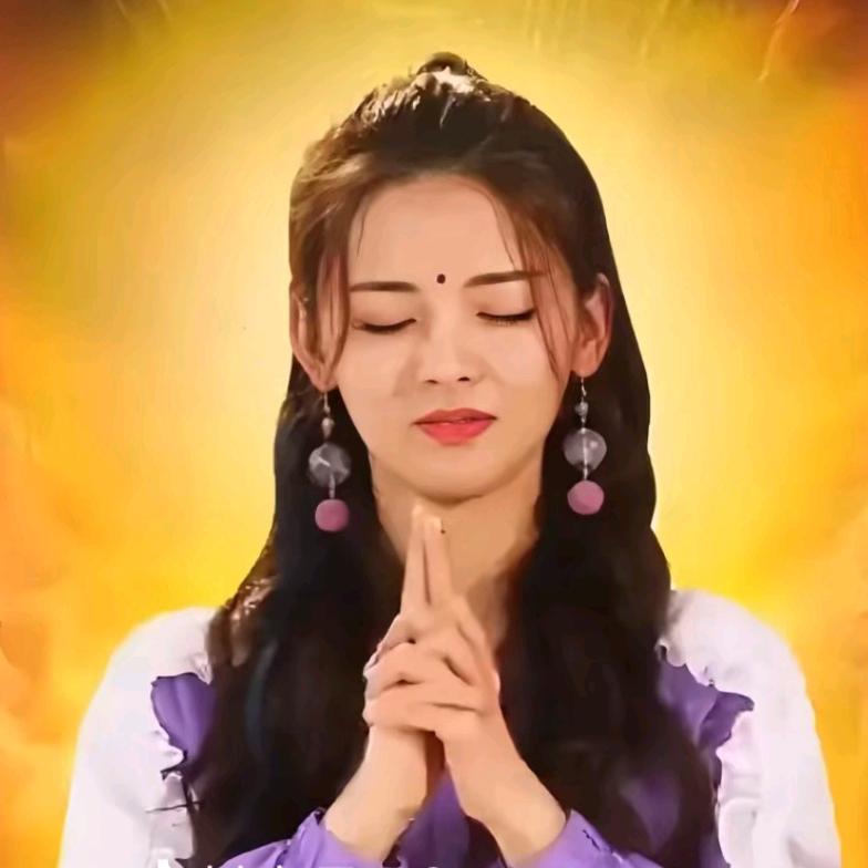 ✨猫多狸＊小小豆丁✨