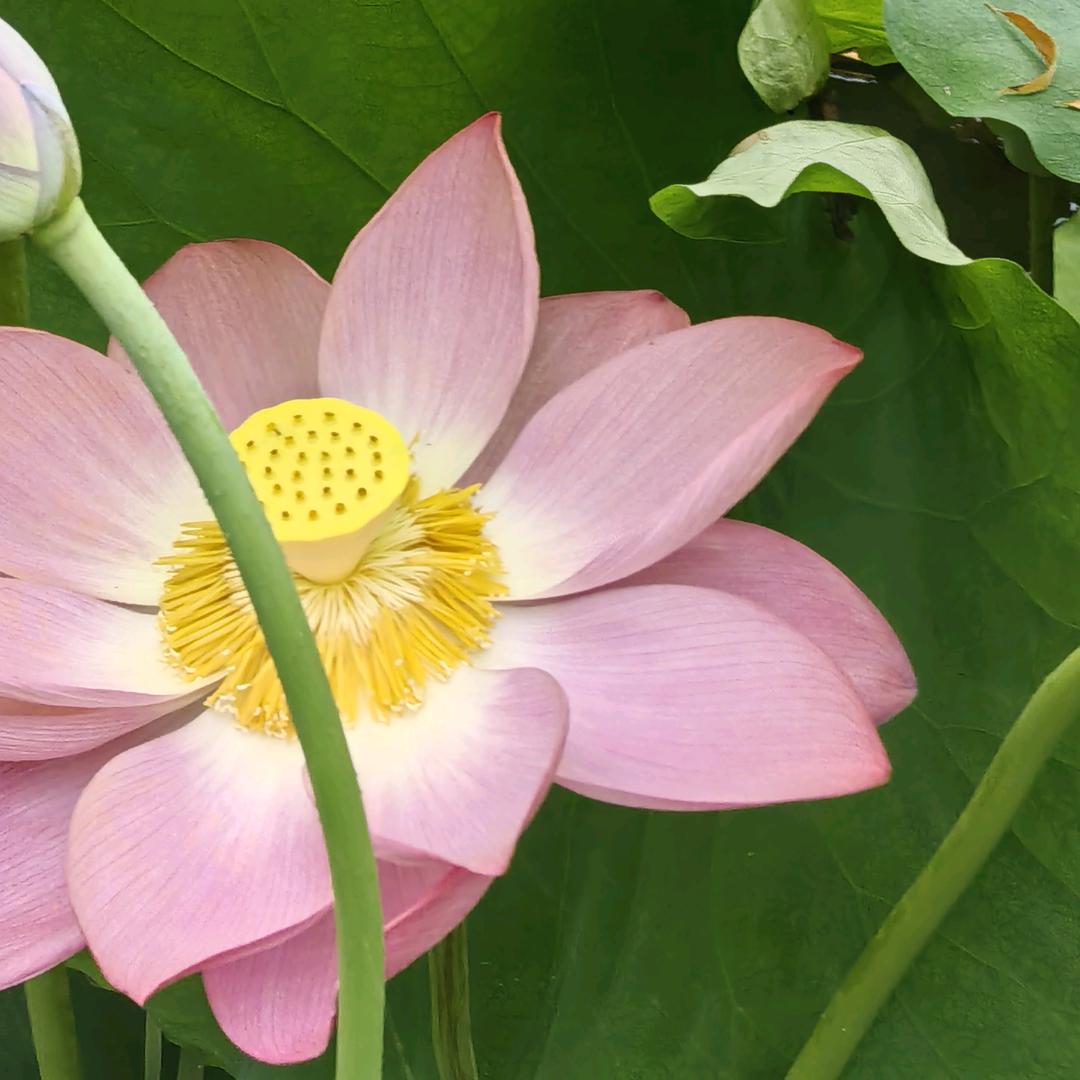 未来可期9903983168615