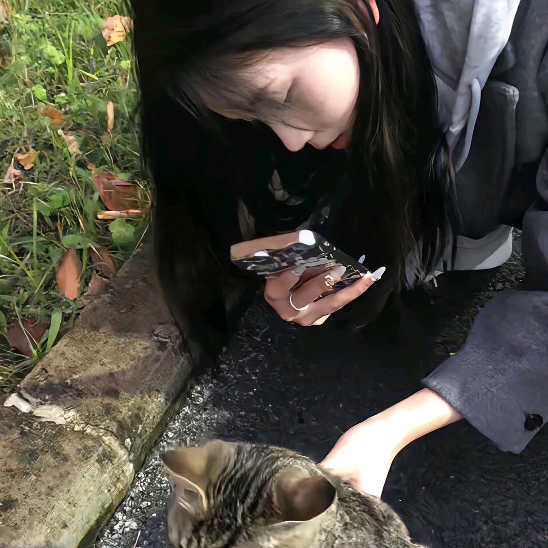 听溪雨 ₍˄·͈༝·͈˄₎◞ ̑̑