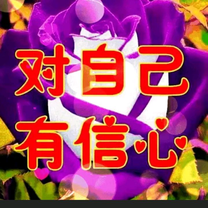 32426879，风雨不停