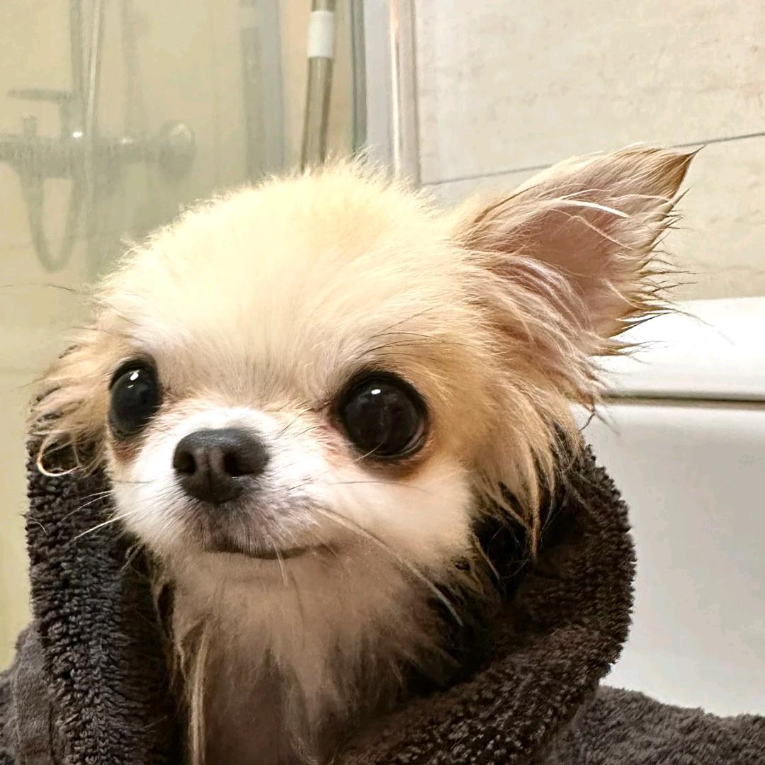 六夕夕夕（求点赞关注版）