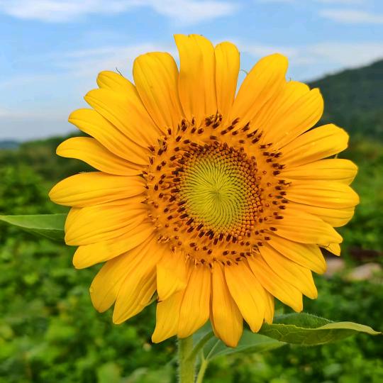 唯有经历让人成长