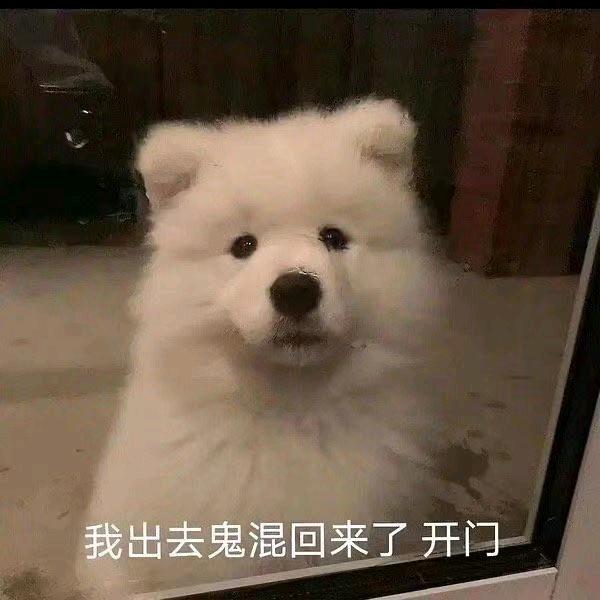 喔捏个豆