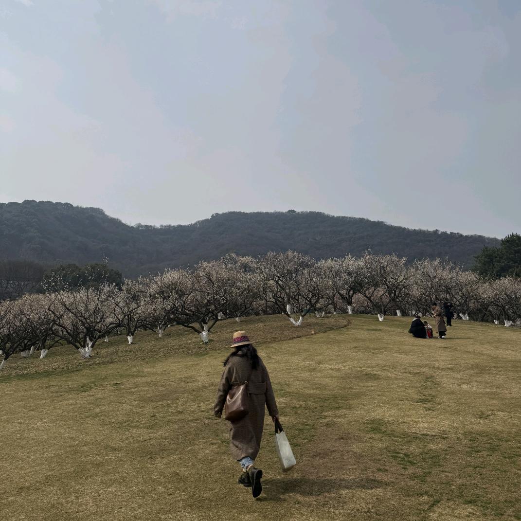 花姐🌈拓步森健康鞋