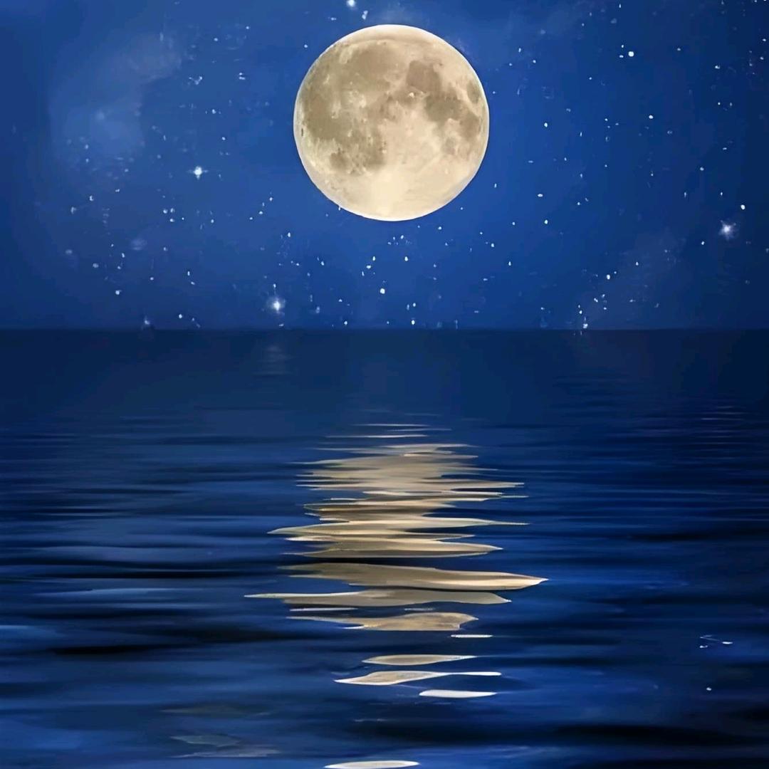 海上升明月～