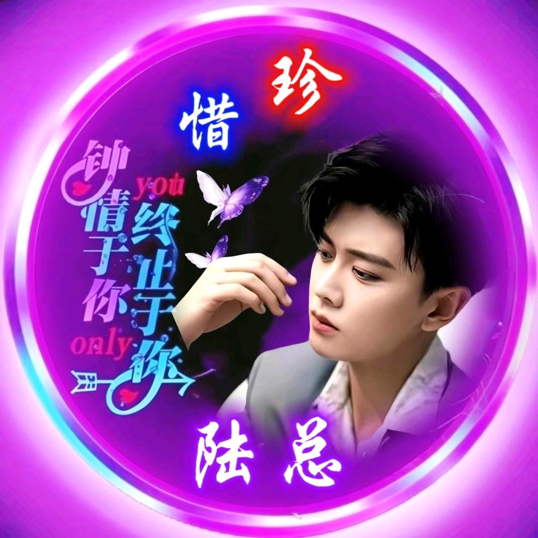 陆家少爷