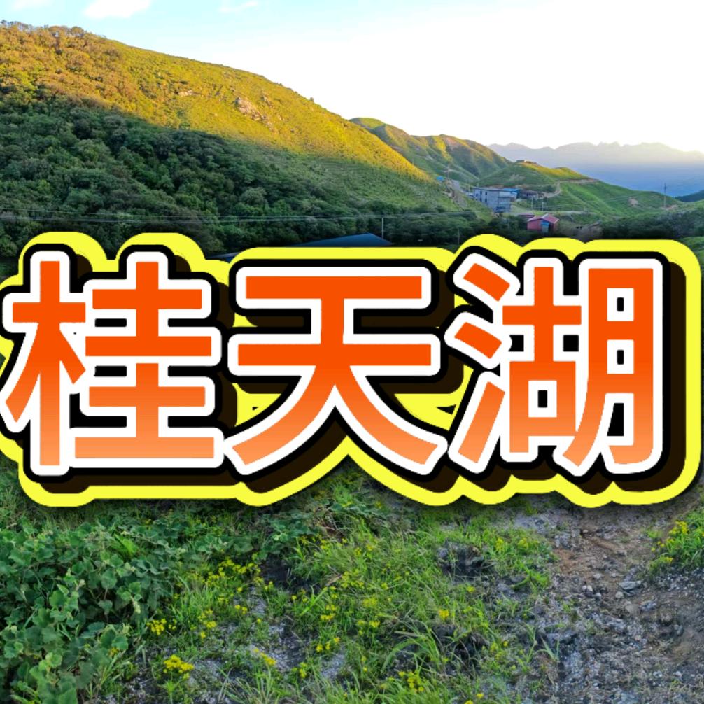 桂天湖农旅特产店