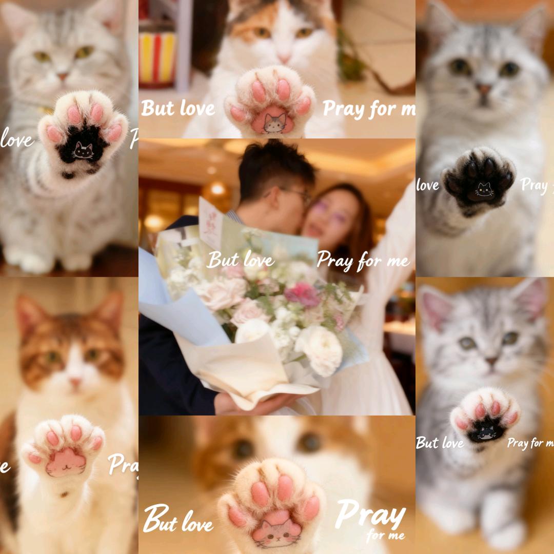 Meow&Bark.毛球屋
