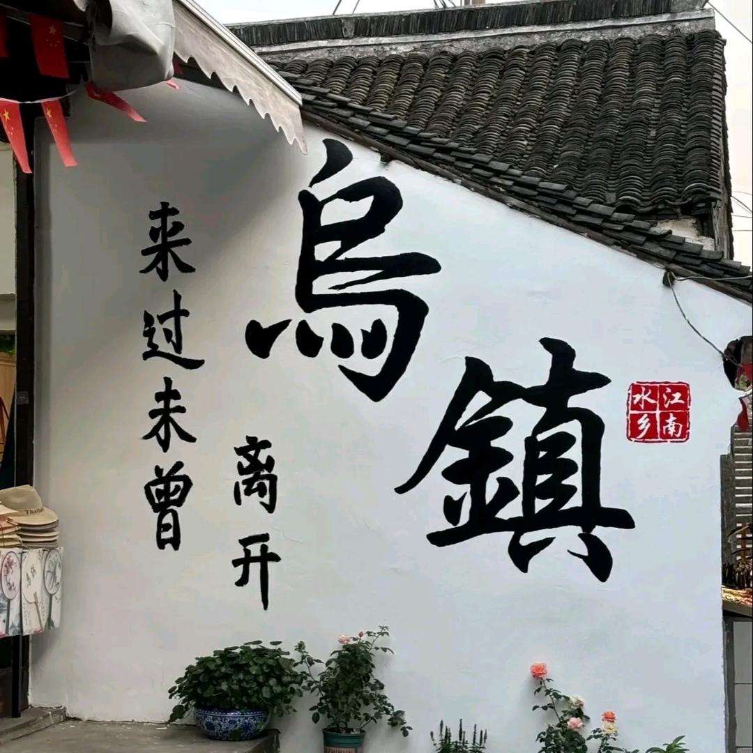 失忆的猫