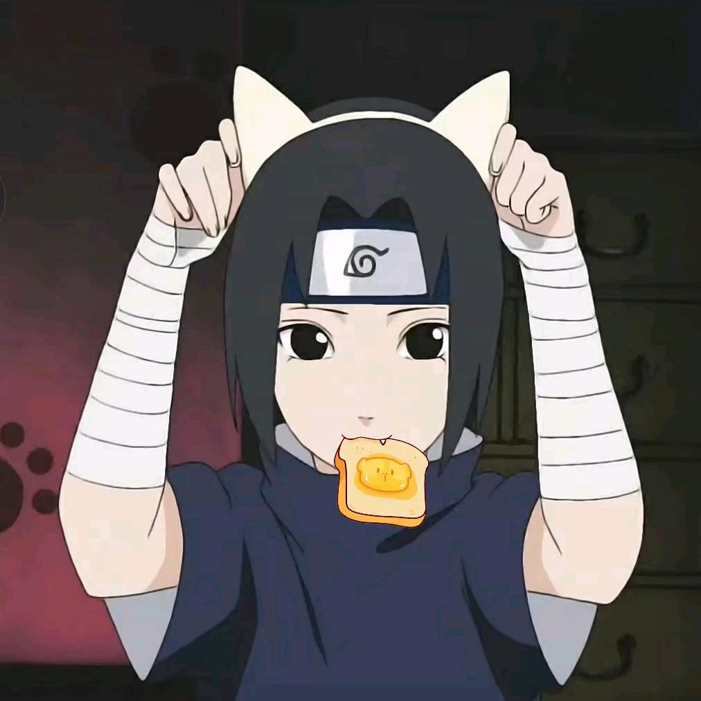 不抓尾兽