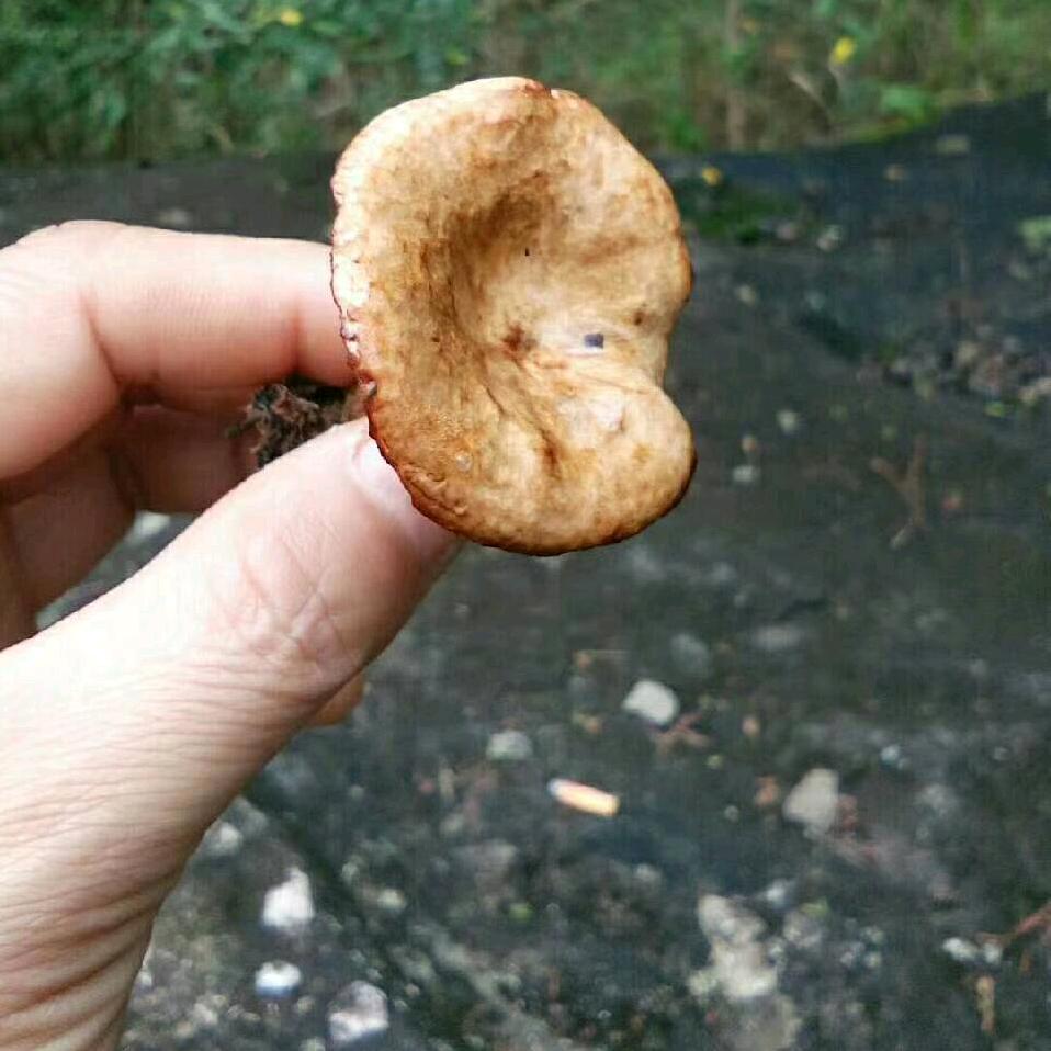 🇨🇳别问我是谁(小号）