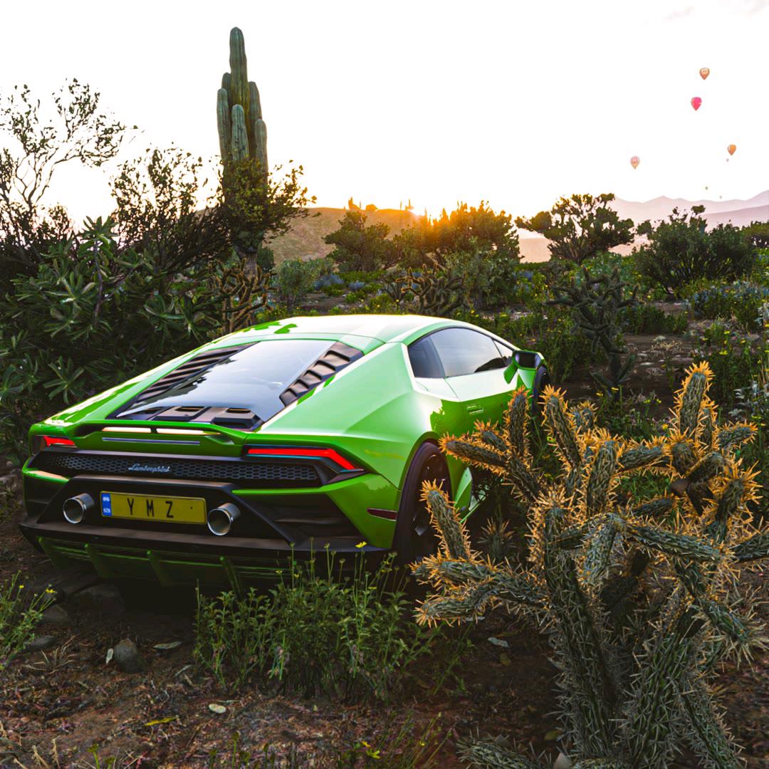 兰博爱龙钞（马钞接合作）