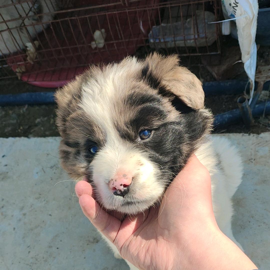 单车踩到马德里