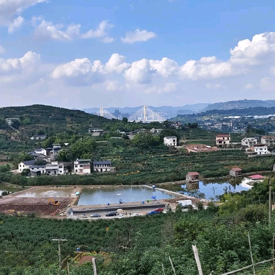 江津观音寨垂钓园