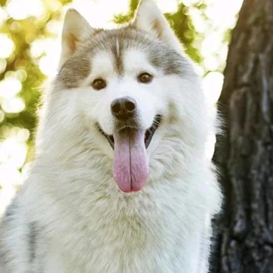 生死游戏✰⁷⁰⁹⁸