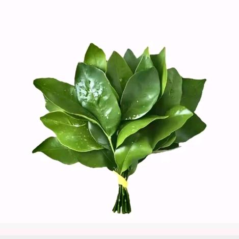 打倒香菜