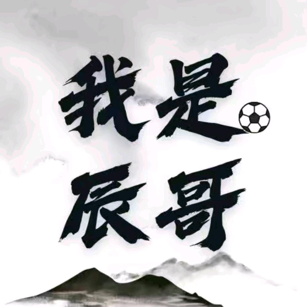 我是辰哥—付图