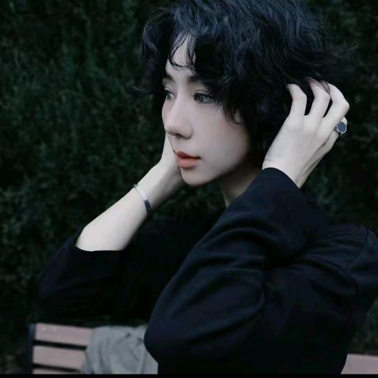 TT设计师（爆款返场）