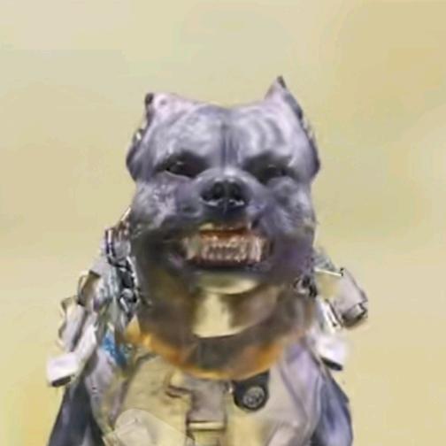 军犬