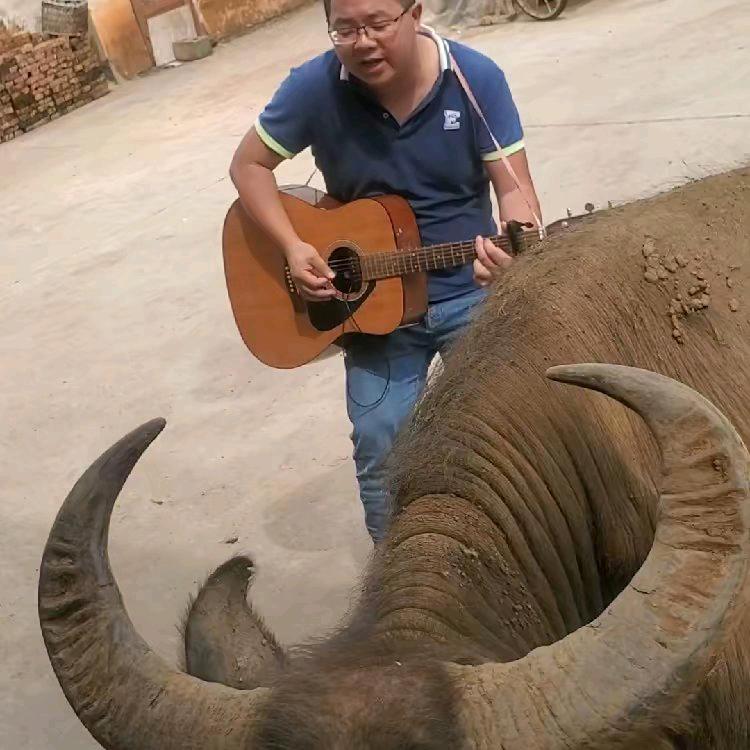 杜灿