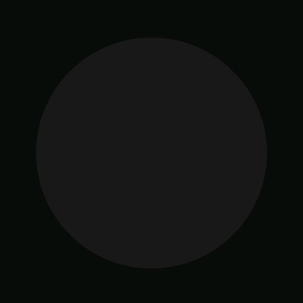 白头犹作少年欢